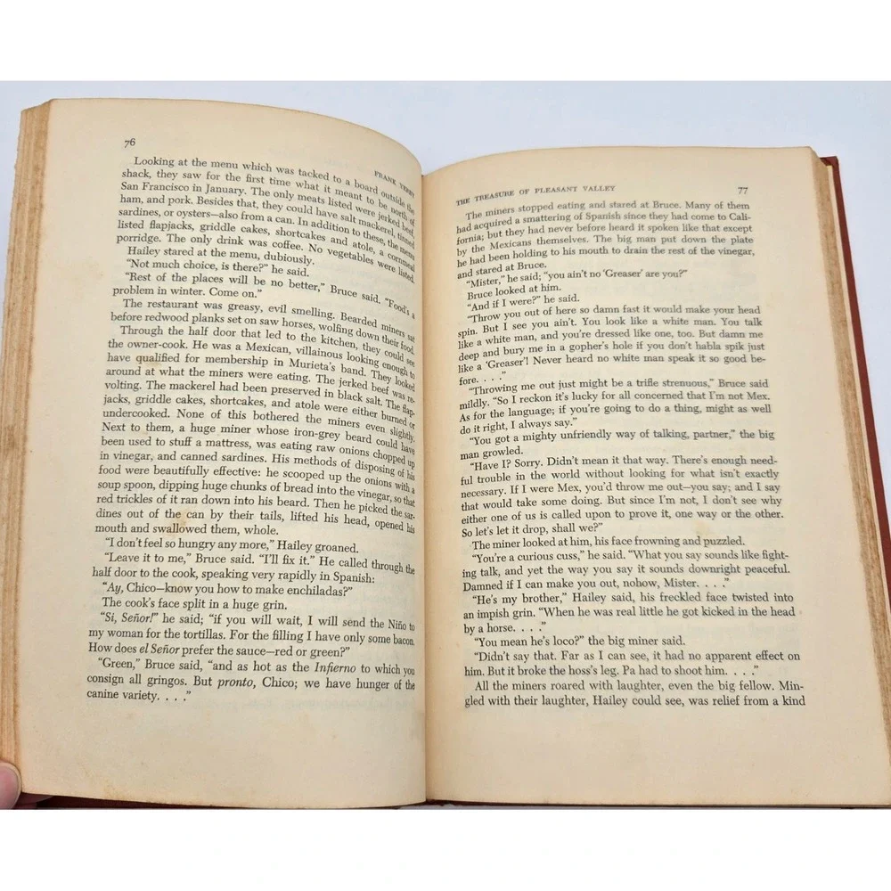 The Treasure of Pleasant Valley Frank Yerby 1955 First Edition Dial Press Book